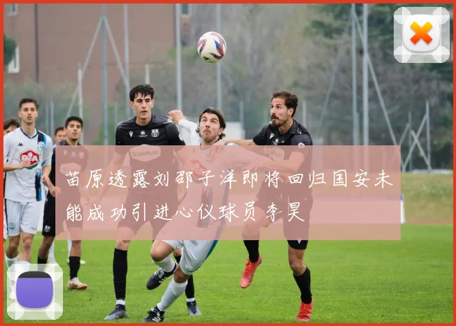 苗原透露刘邵子洋即将回归国安未能成功引进心仪球员李昊